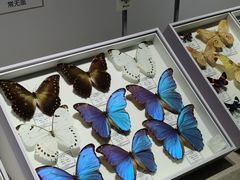 -烟台市博物馆