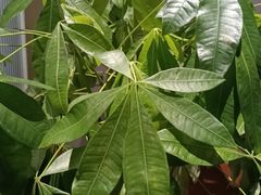 -宴周康·精致江浙菜(周浦店)