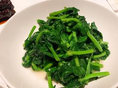 五粮液豆苗-玫瑰厅上海菜(兴国路店)