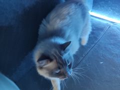 -零纪元VR体验馆·桌游(黄浦店)