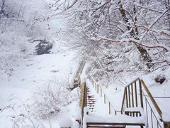 -青峰峡国家森林公园