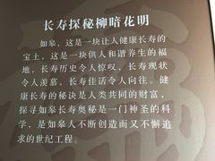-水绘园