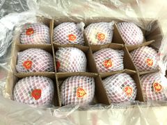 -上海龙吴水胜海发市场