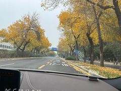 -清华东路西口(地铁站)