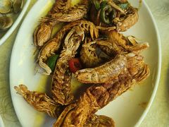 -锐记美食店·现捞海鲜(闸坡店)
