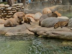 -北京野生动物园