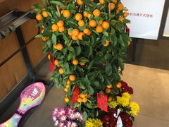 -第五食堂(万科城店)