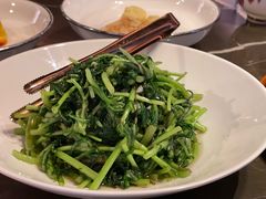 有机茼蒿炒南澳紫菜-海派悦庭·海胆烧麦·新融合菜(凯德广场店)