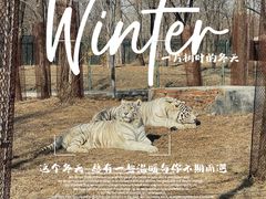 -秦皇岛野生动物园