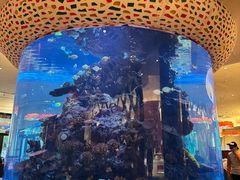 -长隆海洋王国自助餐厅(横琴湾店)
