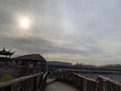 -呀路古热带植物园