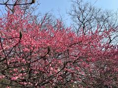 -宁波市保国寺古建筑博物馆