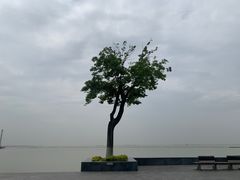 -滆湖低碳生态公园