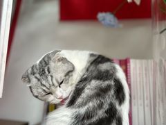 -seeu coffee(江滩店)