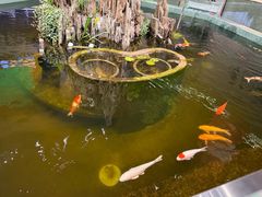 -永红源啤酒·烧烤·海鲜·大排档(台柳路店)