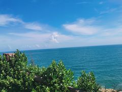 -广东惠东海龟国家级自然保护区