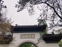 -灵隐飞来峰景区