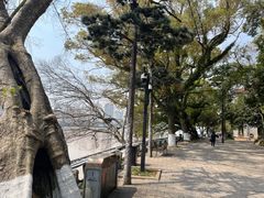 -江心屿景区