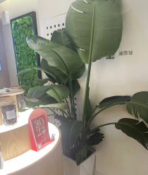 -愉己冥想·护发专门店