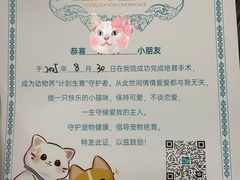 -美联众合动物医院·24h京西诊疗中心