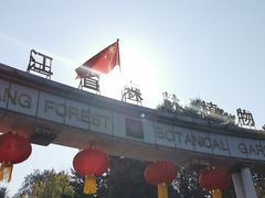 -黑龙江省森林植物园
