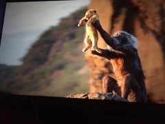 -中影星美国际影城(犀浦百伦店)