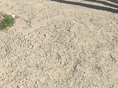 -哈尔滨师范大学(松北校区)