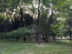 -元大都城垣遗址公园