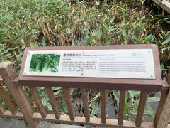 -五缘湾湿地公园