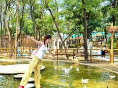 -南戴河国际娱乐中心