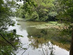 -白马涧龙池景区