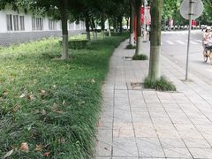 -成都中医药大学(温江校区)