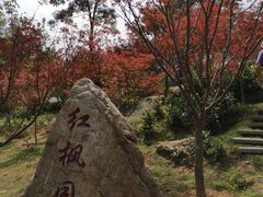 -广州市帽峰山景区