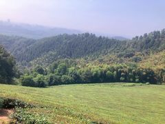 -敬亭山风景名胜区