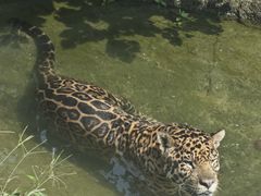 -杭州野生动物世界
