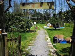 -前小桔亲子创意农场·草莓采摘·露营烧烤