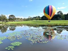-中国科学院西双版纳热带植物园