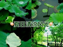-黄兴公园