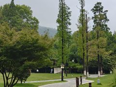 -习家池