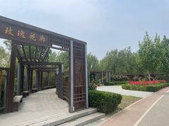 -坝河休闲公园