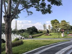 -王借岗森林公园