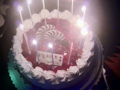 -龙兴·动物奶油生日蛋糕(龙北店)