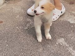 -美联众合24小时·皮肤科·外科·全科诊疗中心(华苑分院)