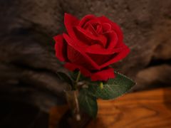 -汉阳馆·岩古来餐厅(长安万科广场店)