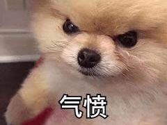 -Cafe Alice咖啡爱丽丝(奥城店)