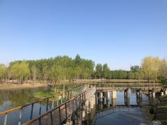 -东郊湿地公园