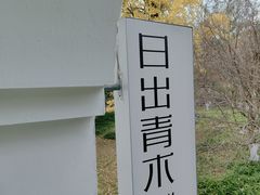 -日出青木