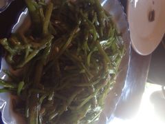 iphone_upload_pic-苍洱春饭店