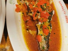 翘嘴鲌鱼-丹江渔村(望京店)