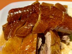 -合晋食府(广州合晋帝苑酒店)